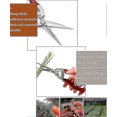 thumbnail image 3 of Professionall Pruning Scissors, Stainless Steel Garden Secateurs & Pruning Scissors Small(7.87inch) - RIpj, 3 of 5