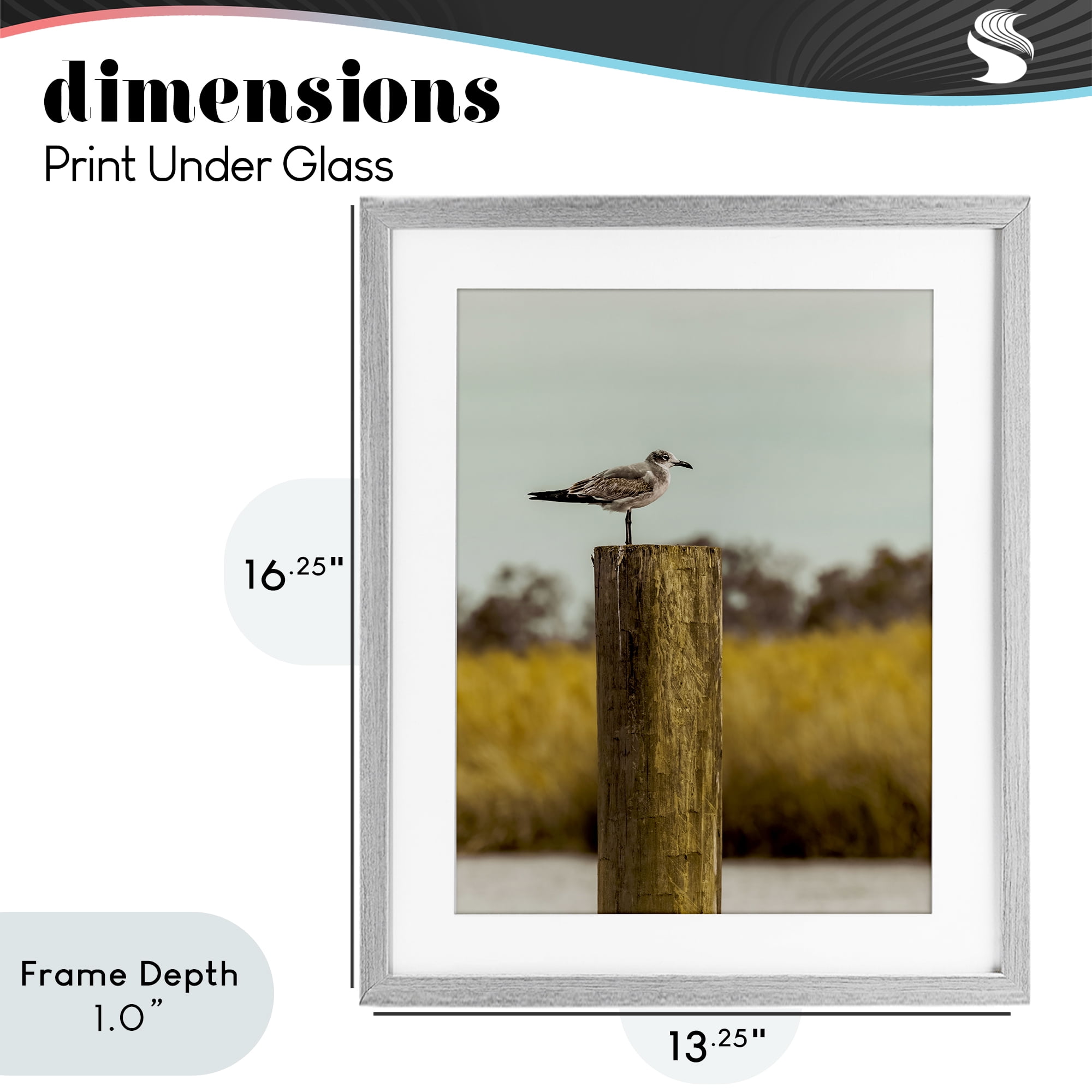 Stupell Industries Gull On Piling Gray Framed Print Under Glass, design by Christy Berry