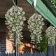 thumbnail image 5 of Violetas artificiales, 4pcs, colgantes de pared, Verdes, Eucaliptos, Blanco, 5 of 6