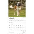thumbnail image 3 of Saint Bernards | 2026 12x24" (Hanging) Wall Calendar | Plastic-Free | BrownTrout, 3 of 9