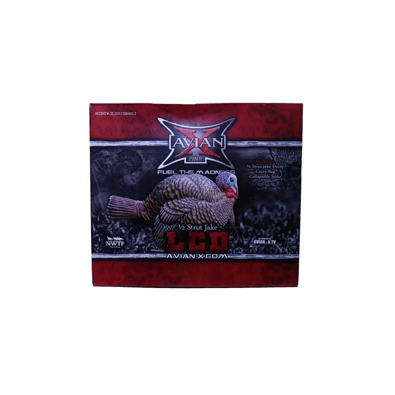 AVIAN-X LCD Half-Strut Jake Turkey Decoy | Durable Realistic