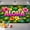 Aloha, variant on 7x5ft Summer Aloha Backdrop Hello Summer Hawaiian Tropical Theme  Background Summer Supplies Party Decorations Banner Photo Booth Props