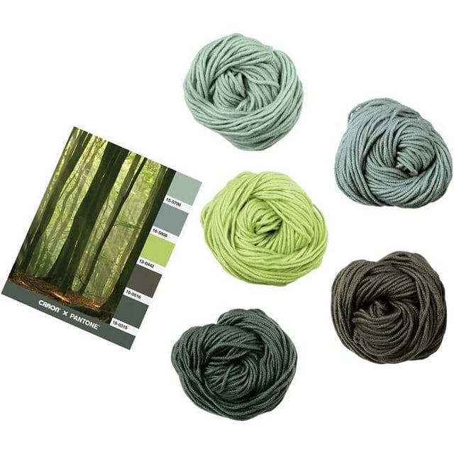 Spinrite 291101-01015 Fil Caron X Pantone, Forêt d'Été