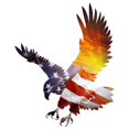 thumbnail image 1 of Next Innovations 101410021-USASUNSET 23 x 18 Po États-Unis Sunset Eagle Décor Mural, 1 of 1