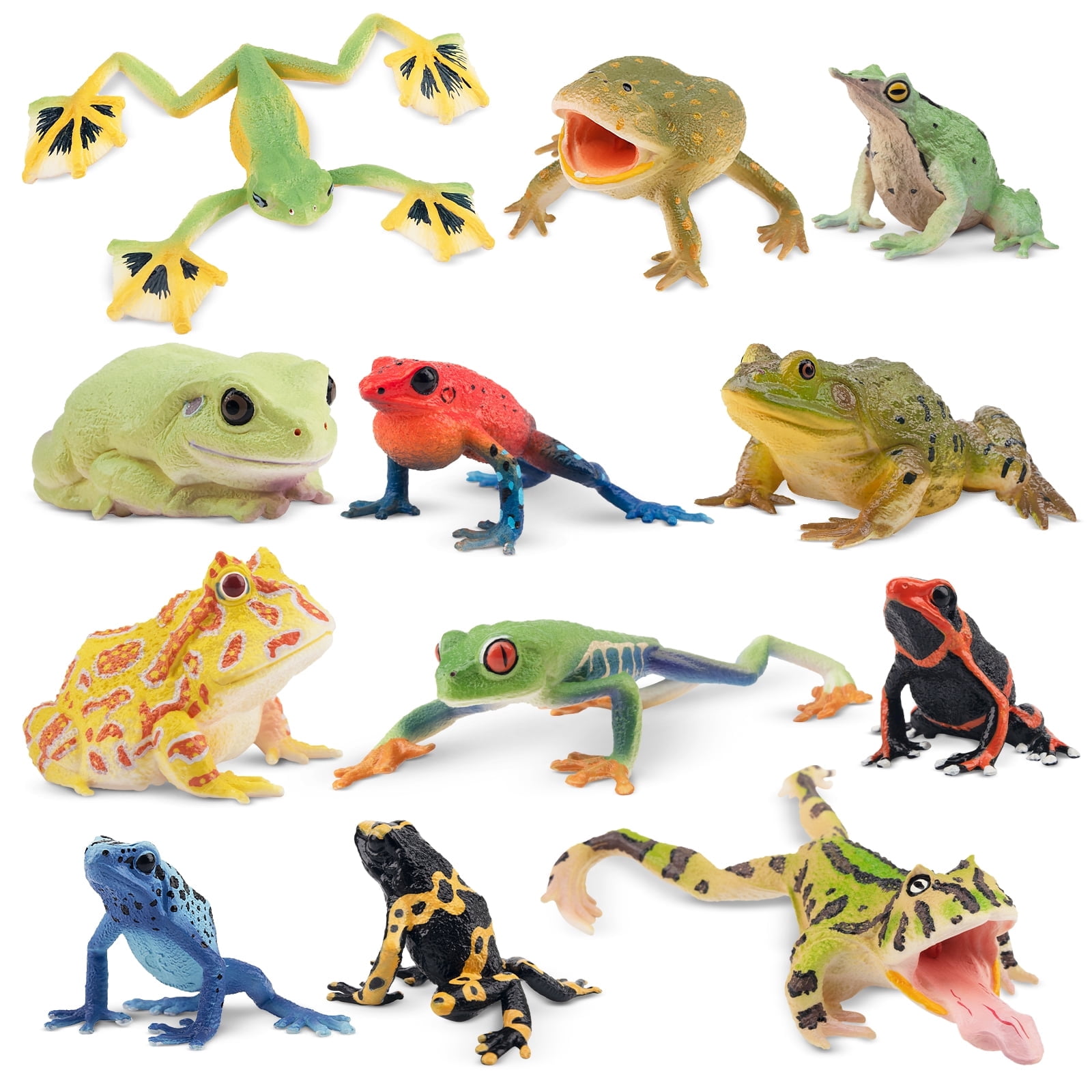 Wild Republic Nature Tube Frog Toys Set, Lifelike Figurines, 12
