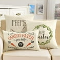 thumbnail image 5 of AVOIN colorlife Easter Locally Grown Carrot Patch Pillow Cover Decorative Throw Pillowcase, 18 x 18 inch White Rustic Spring Seasonal Square Cushion Protector for Sofa Couch Home Decor, 5 of 6