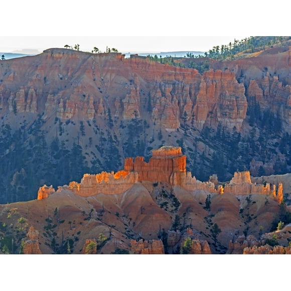 Utah, Bryce Canyon National Park. View of canyon with hoodoos Poster Print by Jamie & Judy Wild (18 x 24)