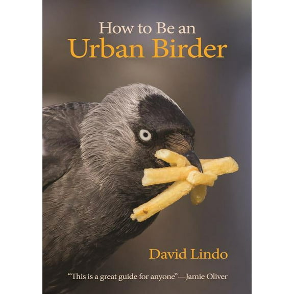 Wildguides How to Be an Urban Birder, Book 13, (Paperback)