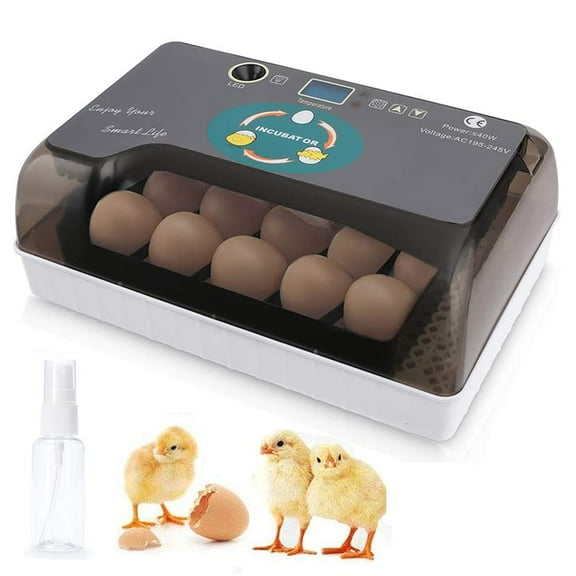 Digital Egg Incubator Hatcher w Temperature Controller Automatic Turning 12 Eggs