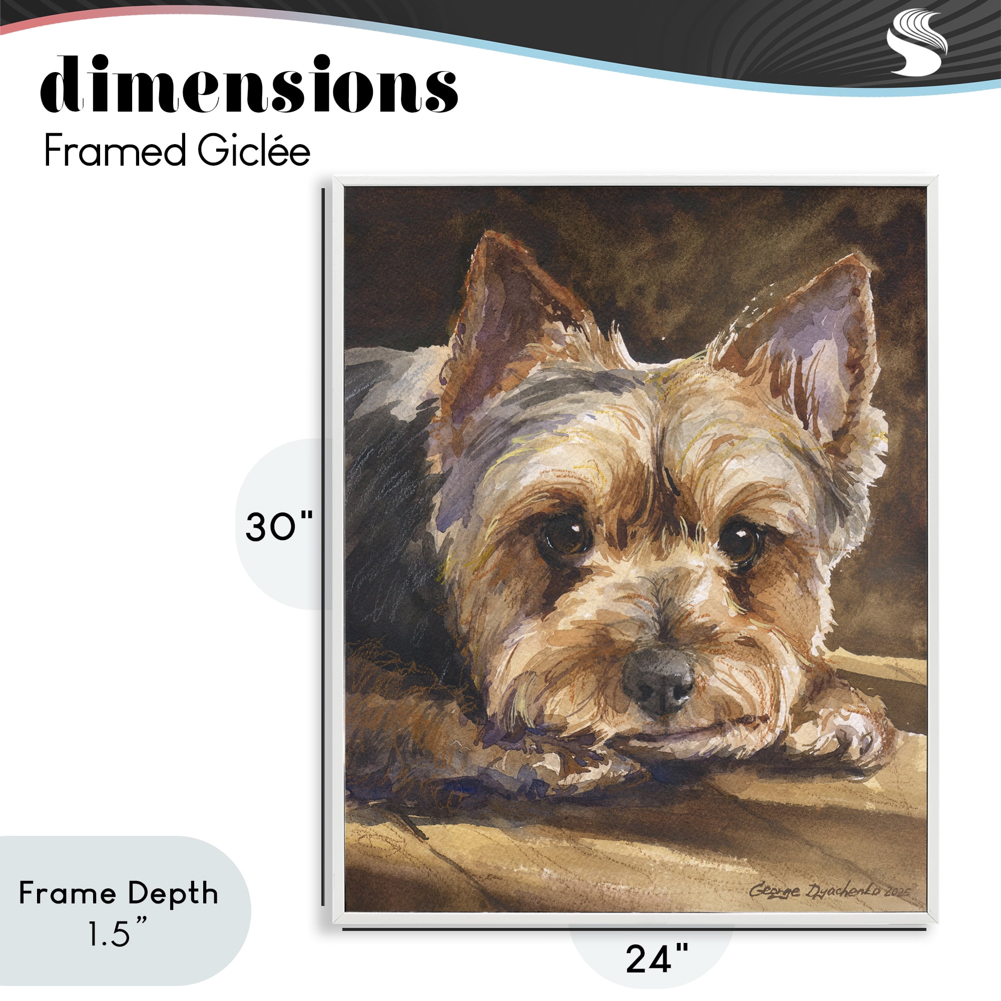 Stupell Industries Yorkshire Terrier Portrait White Framed Giclee Art, design by George Dyachenko