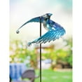 thumbnail image 3 of Blue Jay Bird Balance Drifter, 3 of 3