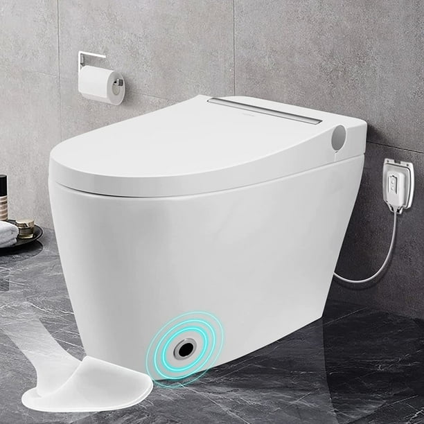 Aquasource Toilet