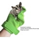 thumbnail image 3 of Guante calmante a prueba de mordeduras para animales pequeños, guante calmante para dormir para animales pequeños, planeadores del azúcar, erizos, ratas (verde), 3 of 5