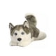 thumbnail image 1 of Peluche de Perro Husky Lying Aurora, 1 of 2