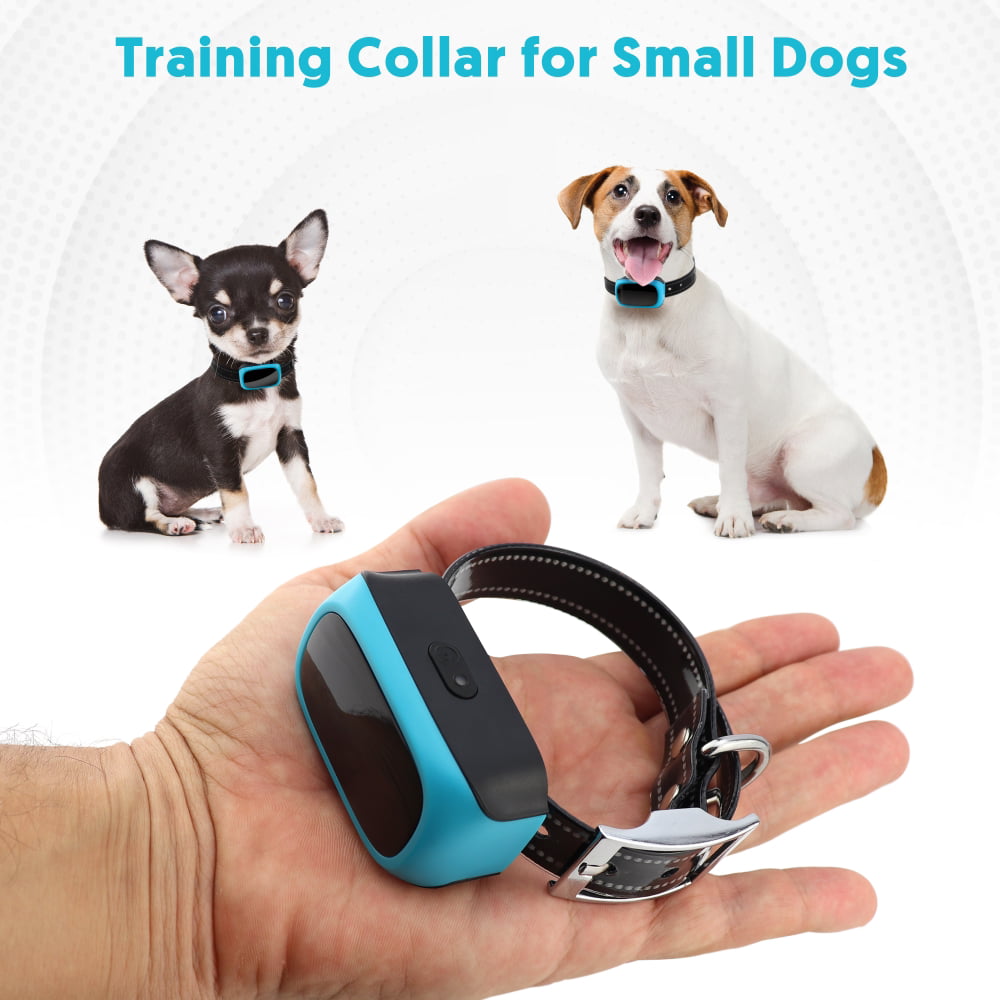 small dog training collars