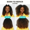 thumbnail image 4 of Carol's Daughter Born To Repair Reviving Hair Oil for Dry Damaged Hair & All Curl Types, Made with Shea Butter, 4.2 Fl Oz, 4 of 4