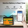 thumbnail image 2 of Batería de litio LiFePO4 ECO-WORTHY 12V 100AH con Bluetooth 1280Wh, 2 of 9