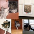 thumbnail image 4 of Deflector para gatos grandes Deflector para gatos y perros Puerta para gatos para interior y, 4 of 5