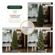 thumbnail image 5 of Árbol de Navidad Pino Canadiense Tipo Lápiz, Esquimal (Verde, 2.20 m), 5 of 6