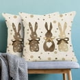 thumbnail image 4 of Spring Easter Pillow Covers 16x16 Set of 2, Easter Polka Dot Brown Bunny Decorative Throw Pillow Covers for Linen Spring Rabbit Farmhouse Pillows Cushion Case for Couch Sofa Home Decor, 4 of 6