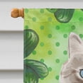 thumbnail image 3 of Siberian Shamrock Flag Canvas House Size, 3 of 4