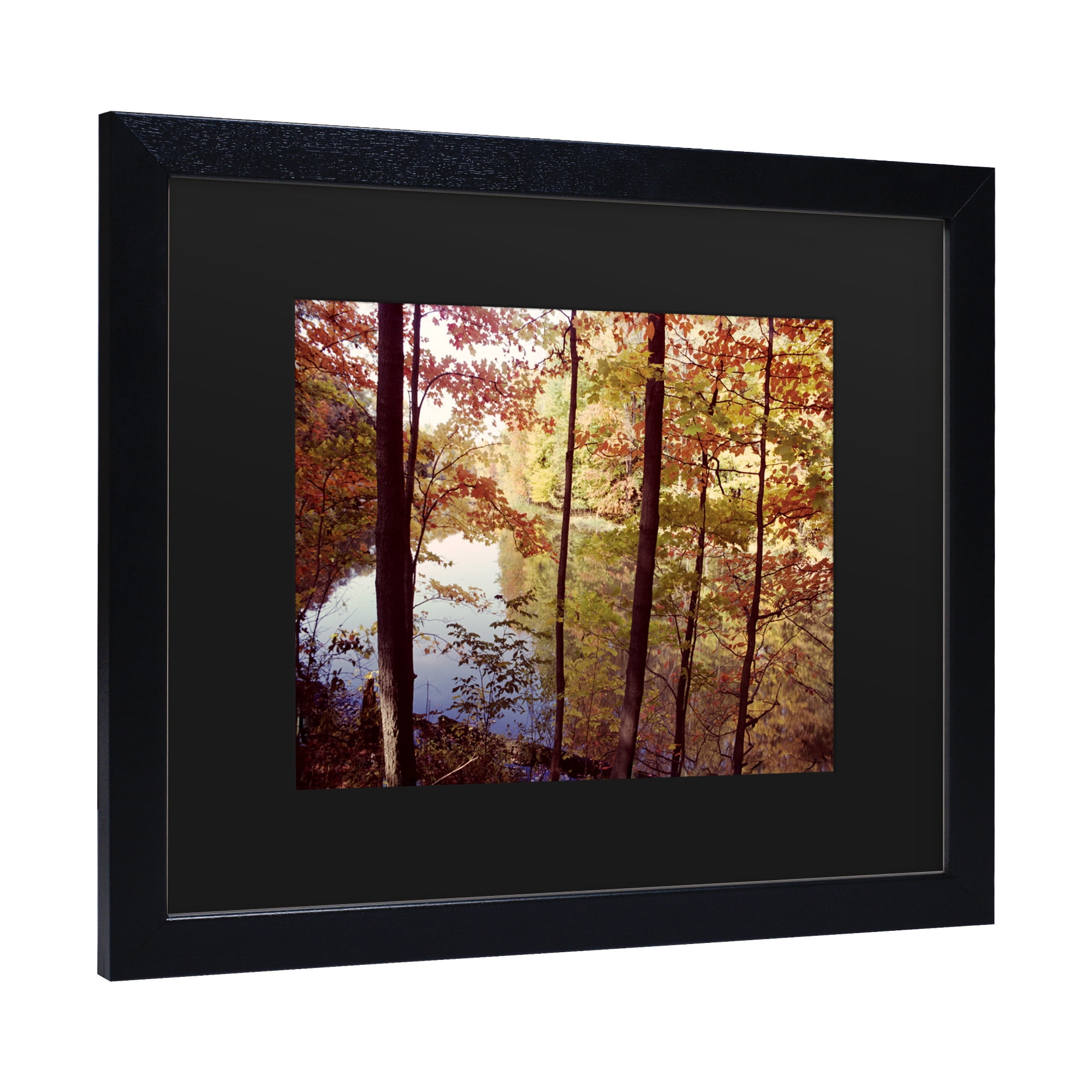 Trademark Fine Art 'A Secret Pond' Canvas Art by Kurt Shaffer