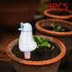 thumbnail image 1 of Bebedero automático para plantas,Dispositivo de riego automático para plantas con forma de pájaro,Riego por goteo automático para interiores de jardines,Dispositivo de riego con 3 piezas, 1 of 8