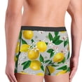 thumbnail image 5 of Fotbe Lemon Seamless Pattern Oil Painting Effect Men’s Total Support Pouch Boxer Briefs, X-Temp Cooling, Moisture-Wicking Underwear, Regular, Long-leg and Trunk-Small, 5 of 9