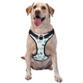 thumbnail image 1 of Balery Sea Turtle Arnés para Perros Grandes Antitirones, Arnés con Correa para Gato, Arnés Tipo Chaleco para Perros Pequeños-Large, 1 of 6