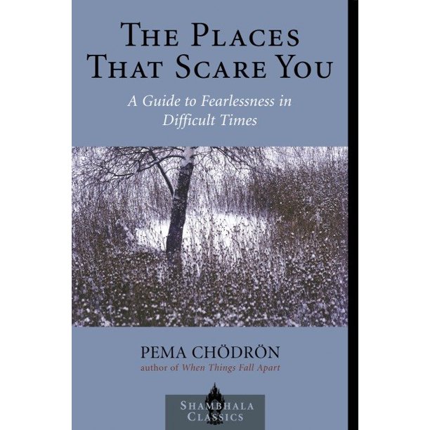 The Places That Scare You A Guide To Fearlessness In Difficult Times Walmart Com Walmart Com
