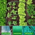 thumbnail image 4 of Planting Support Garden Tunnel Hoop Durable Gardening Tools Bendable Steel Pipe Greenhouse Hoops With Detachable Stakes, 4 of 13