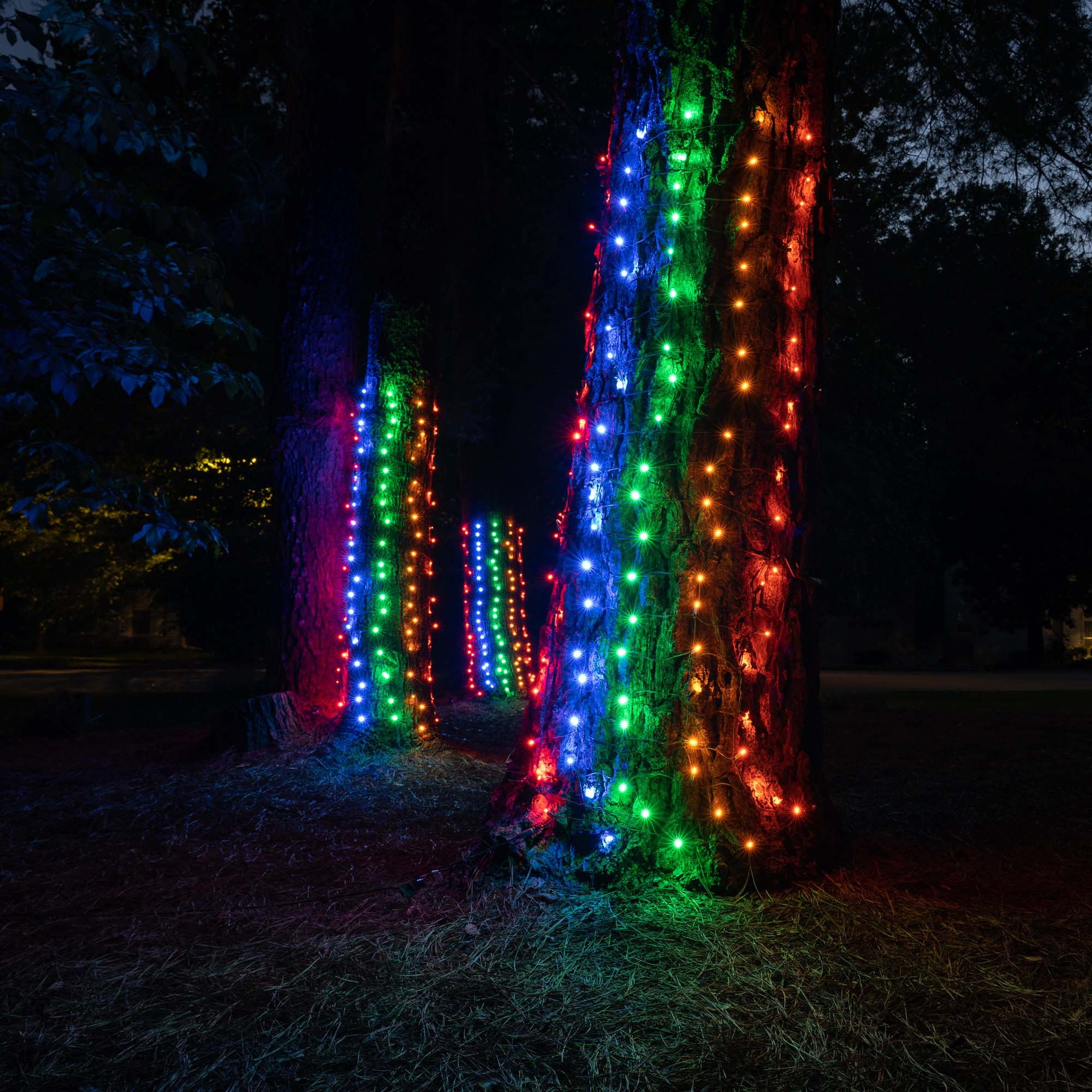 Tree Warp christmas Lights Cool White 262ft Green Wire