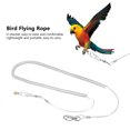 thumbnail image 2 of Herwey 6m Parrot Bird Anti-bite Flying Training Rope Leash Kits Random Color,Bird Flying Rope, Bird Flying Training Rope, 2 of 8