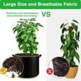 thumbnail image 3 of BN-LINK 5-Pack 10 Gallon Grow Bags with Handles, Thickened Nonwoven Fabric Pots Heavy Duty Aeration Fabric Pots Plant or Fruits Flowers Plant, 3 of 7