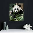 thumbnail image 4 of PIKWEEK Giant Panda by ,  Canvas Wall Art 12x16 in, 4 of 4