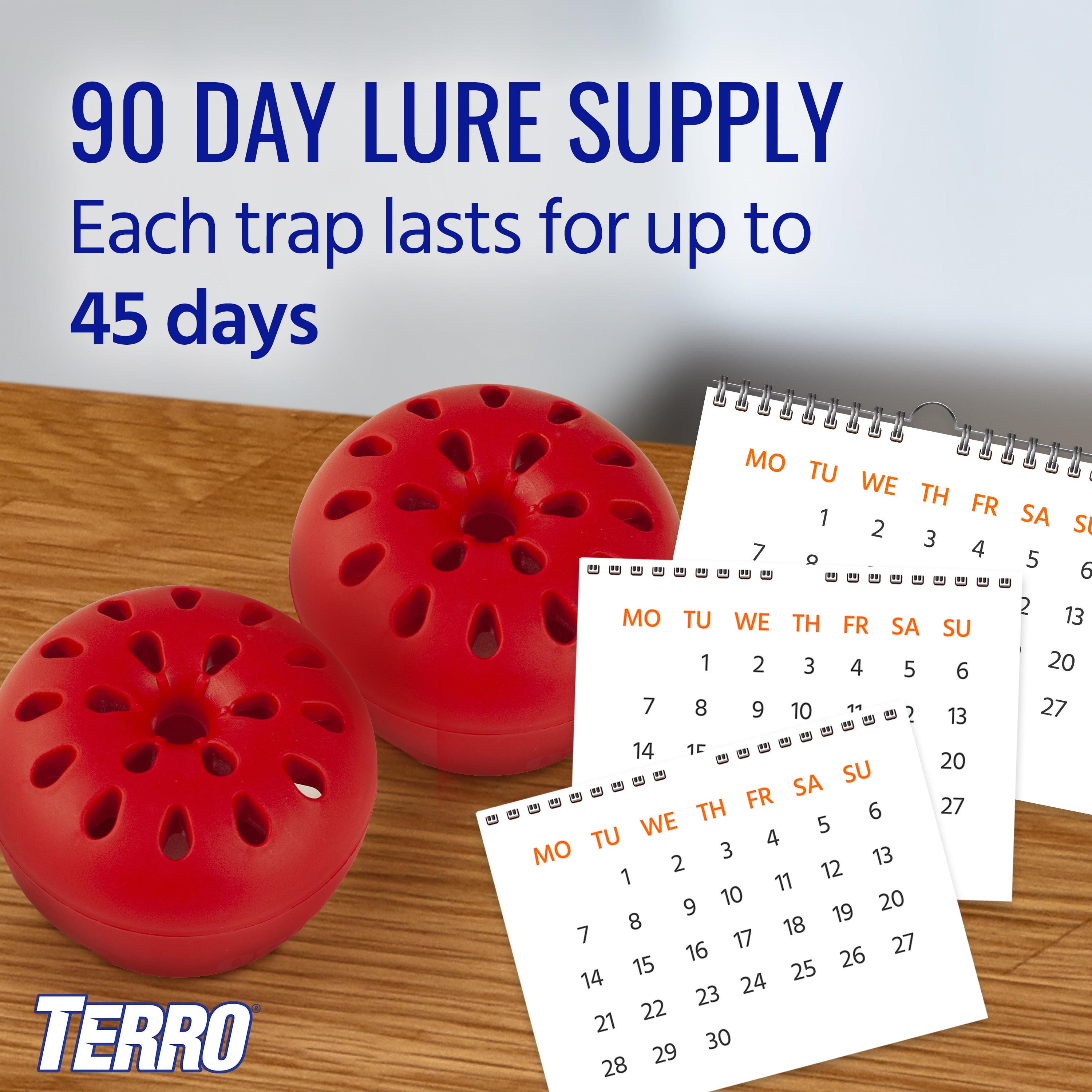 TERRO Fruit Fly Indoor Insect Trap (2-Pack) at