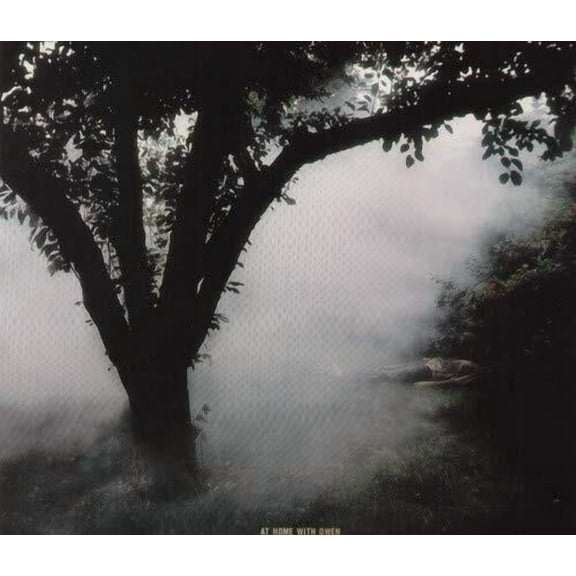 Owen - At Home with Owen - Music & Performance - Vinyl