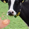 thumbnail image 3 of 4pcs Salt Lick Block For Horses Cows Deer And Livestock Essential Mineral Supplement For Animal And Growth, 3 of 8