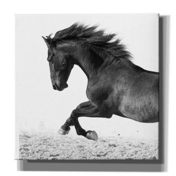 Epic Graffiti 'Zalso' by Susan Friedman,, 18"x18"