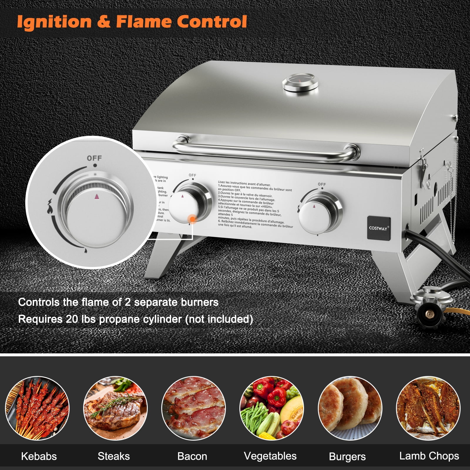 Topbuy 2-Burner Silver Propane Gas Grill with Lid and Handle Top Thermometer