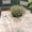 White, variant on HCBY Vintage Watering‑Can‑Shaped Iron er, Rustic Hollow Wire Flower Pot, Weather‑Resistant Green Metal Herb er For Garden Patio Windowsill Farmhouse Home cor