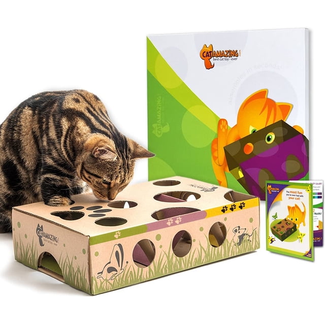 Comedero Interactivo Cat Amazing Laberinto y Rompecabezas