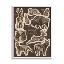 Stupell Industries Wildlife Of America Mixed Animals Chart Brown Background Framed Wall Art, 24 x 30, Design by Lil' Rue