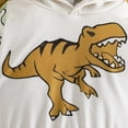 thumbnail image 7 of FAOWME Child Outfit Sets Kids Long Sleeve Cartoon Dinosaur Print Hooded Tops And Pants Sets Clothes Sets Lovely Hood Dailywear, 7 of 7