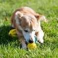 thumbnail image 5 of Paquete de 2 juguetes de pelota para perros para limpiar los dientes de las mascotas, masticar, buscar, juguetes dispensadores de alimentos IQ Treat Ball (pequeño 2") azul amarillo TUNC Sencillez, 5 of 5