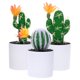 thumbnail image 5 of unbranded 3Ud De Cactus Artificiales Con Maceta Para De Y, 5 of 8