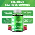 thumbnail image 6 of 2 Pack Vitamatic Irish Sea Moss Gummies - 3000 mg - 60 Vegan Gummies - Made with Bladderwrack & Burdock Root - Seamoss Supplement for Thyroid, Energy, Immune Support, 6 of 11