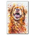 thumbnail image 3 of Nova Scotia Duck Tolling Retriever Dog Canvas Wall Art Prints,Watercolor Dog Art Canvas Painting Poster,Pet Canvas Painting Puppy Artwork 8x12 inches, 3 of 6
