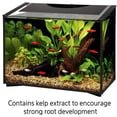 thumbnail image 4 of Aqueon Aquarium Plant Food Provides Macro and Micro Nutrients [Aquarium Plant Food and Fertilizer, Aquarium Supplies] 104.4 oz (12 x 8.7 oz), 4 of 6