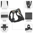 thumbnail image 6 of Lsque Sunflower Field Spotted Dog Dog Harness, No-Pull Pet Harness with 2 Leash Clips, Adjustable Soft Padded Dog Vest with Easy Control Handle for Large Dogs-X-Large, 6 of 9